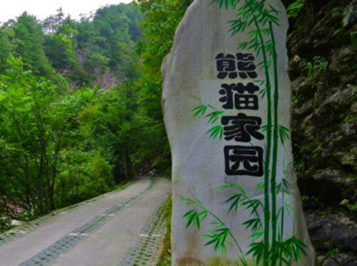 佛坪大熊猫保护区详细地址 汉中市·佛坪县·县城以北20公里熊猫谷