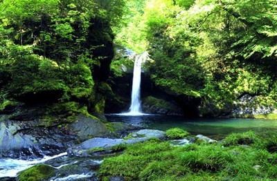 镇坪飞渡峡生态度假区景区由飞渡峡