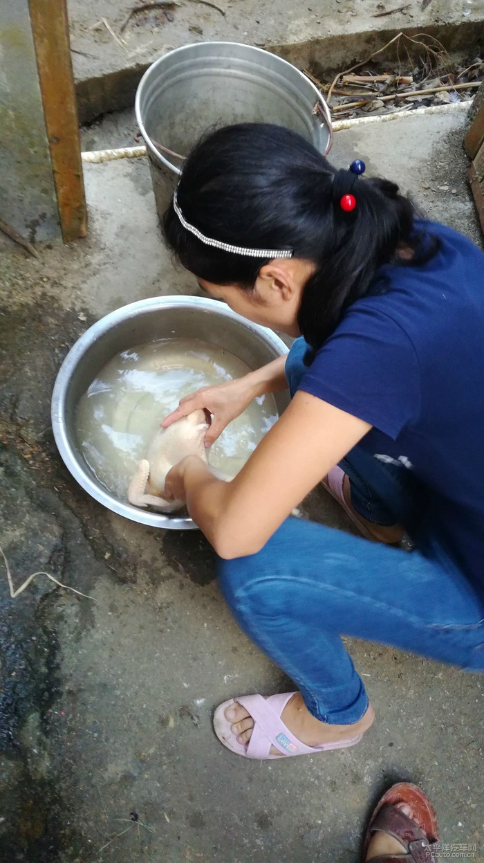 嫂子在杀鸡加菜