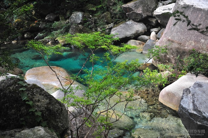 资兴龙虎村人口_资兴栗脚村