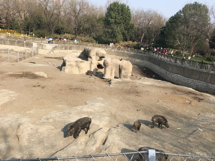 polo生活旅行之济南动物园