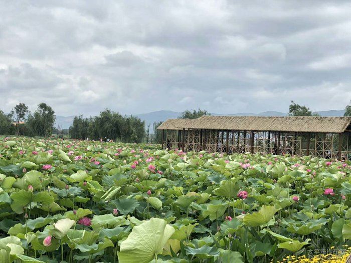 大美沿江麒麟水乡