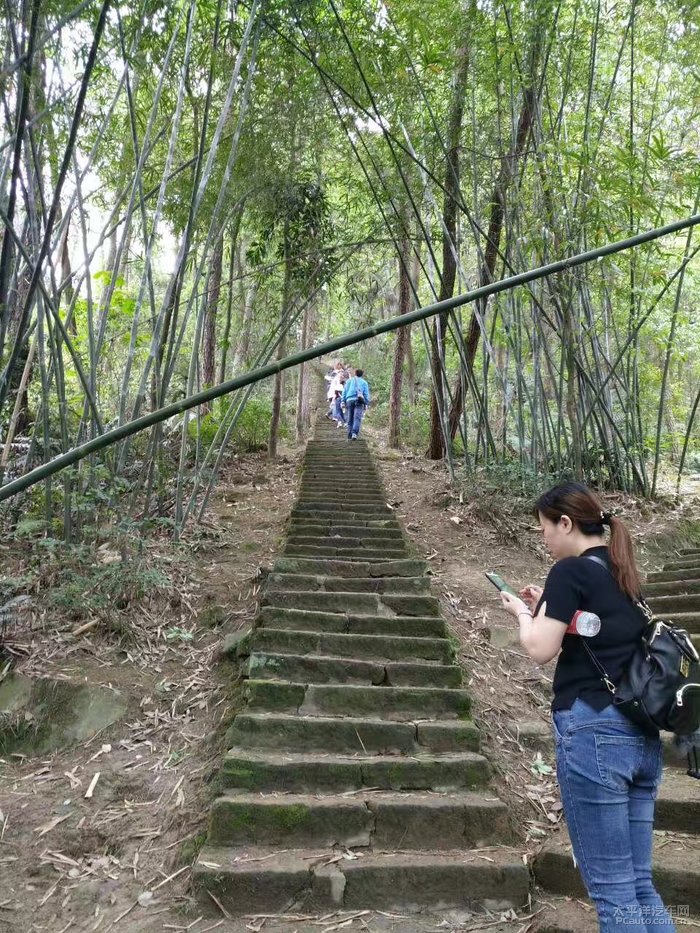 桥口坝森林公园之旅