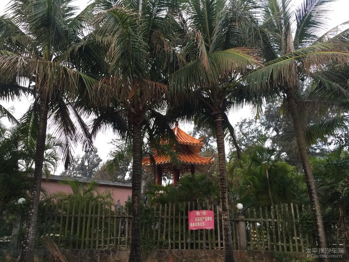 广东湛江徐闻结伴游d1d2游玩天成台度假村