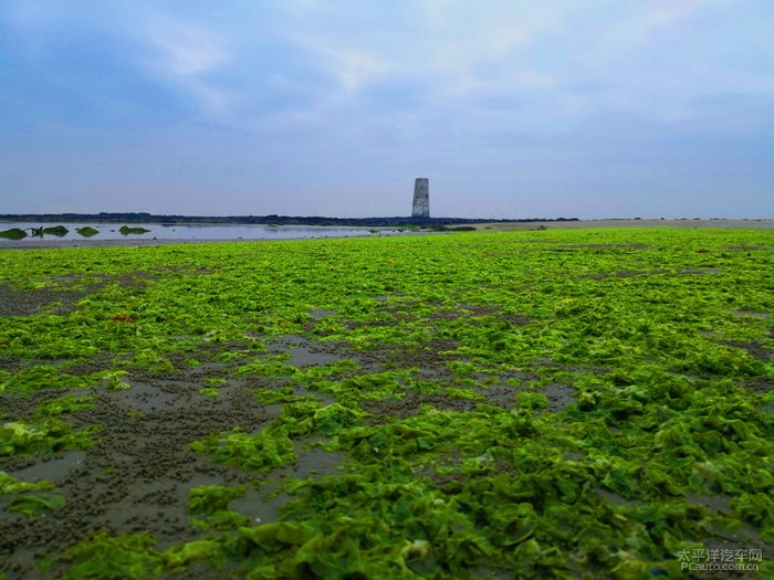 【广东湛江徐闻结伴游】d5～3 欣赏湛江徐闻白茅海风景