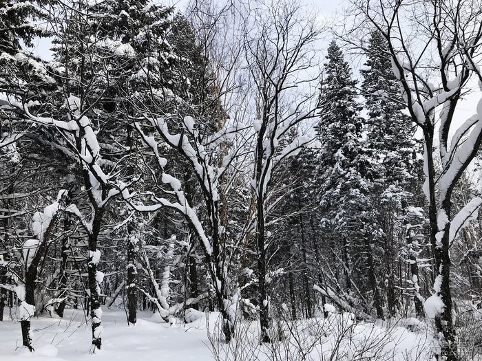 东北冰雪七日游-徒步穿越中国最美雪景线去雪乡(二)