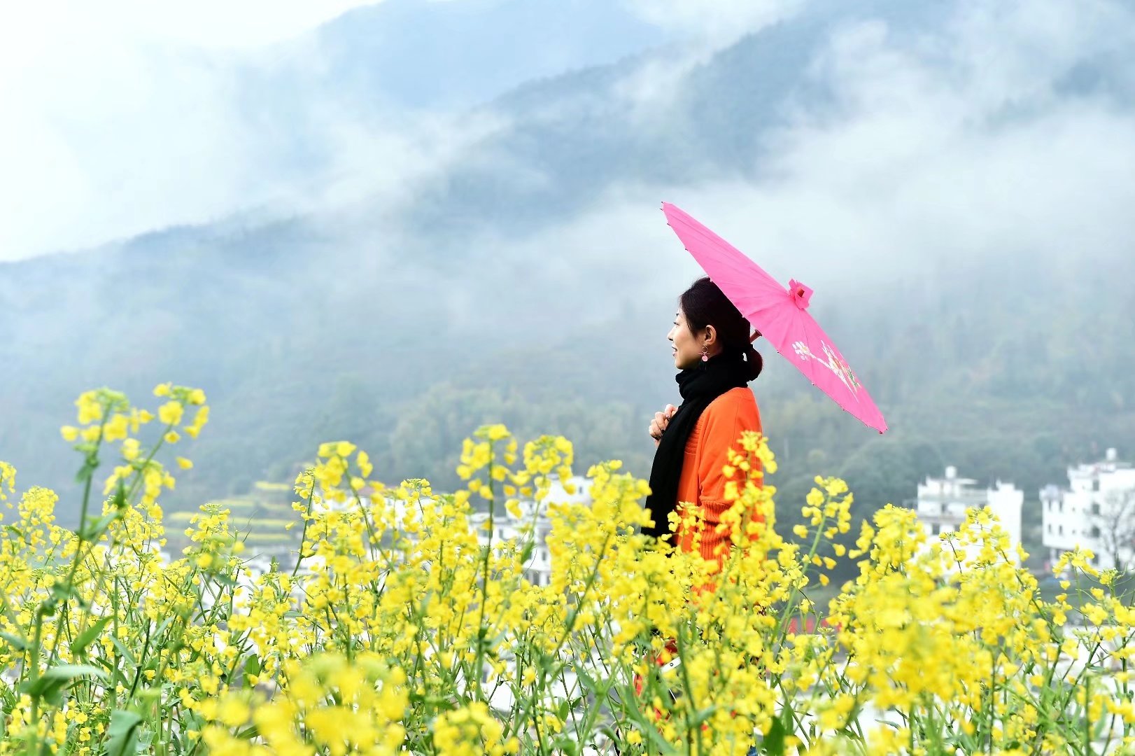 春季旅行计划#与爱同行,梦创未来--阳春三月游婺源图片