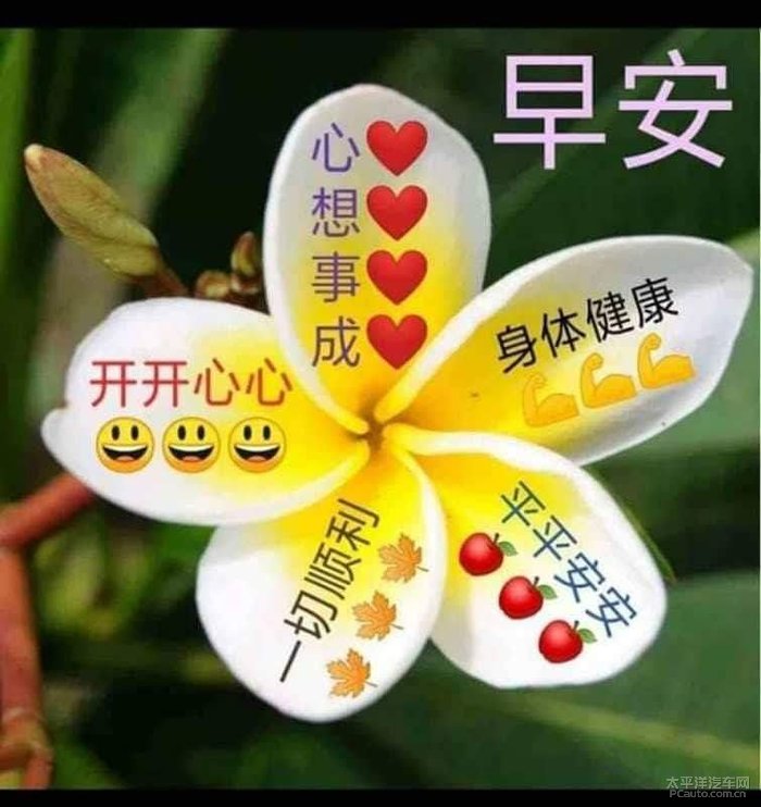 每日签到.