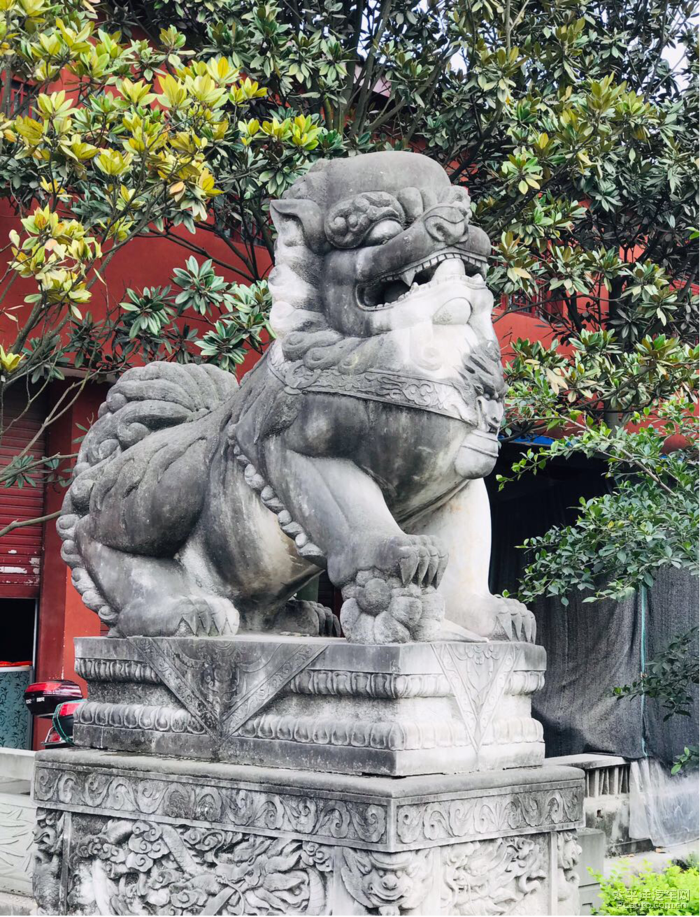齐一寺游记
