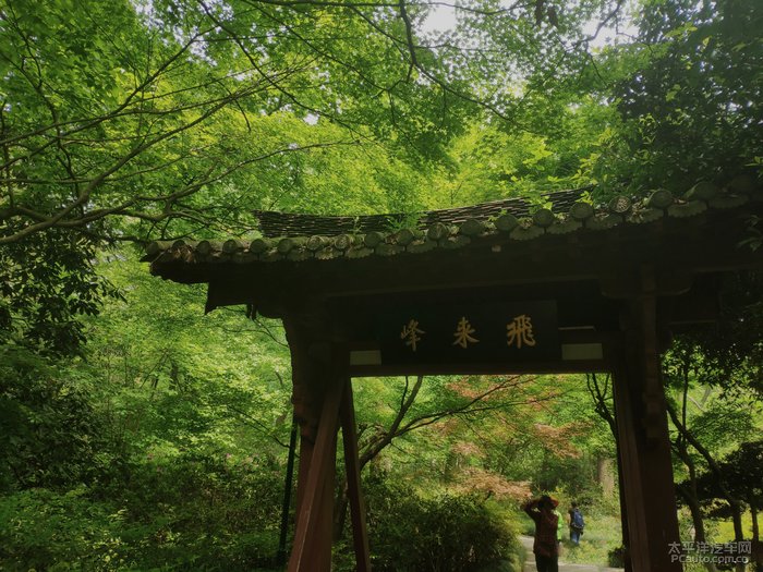 想到了王安石的那首《登飞来峰》,"飞来峰上千寻塔,闻说鸡鸣见日升.