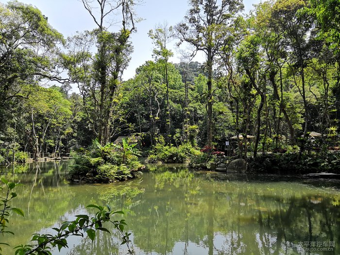 海南行小记录琼中百花岭风景区游记