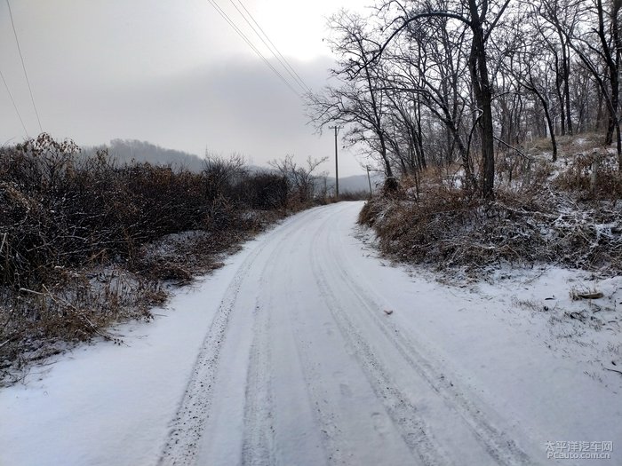 圣诞将至不畏东北冰雪路面农村探界寻狗记