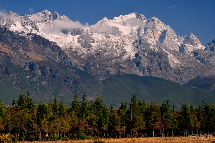 玉龙雪山主峰扇子陡海拔5596米,犹如一条腾飞的玉龙昂起的龙首