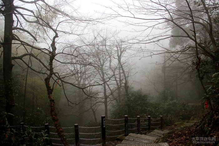 十方紫盖禅寺位於方广寺东面深处的狮子山旁,因旁有石涧潭,俗称