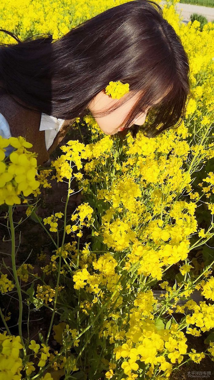 油菜花里搞自拍探影伴我行