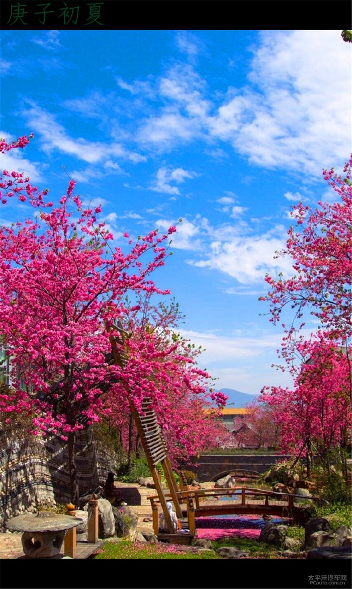 错过的季节 不能错过了风景 初夏恶补春天之景色