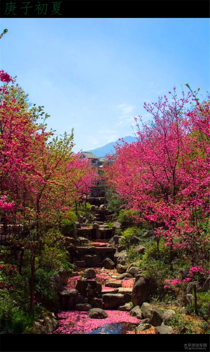 错过的季节 不能错过了风景 初夏恶补春天之景色