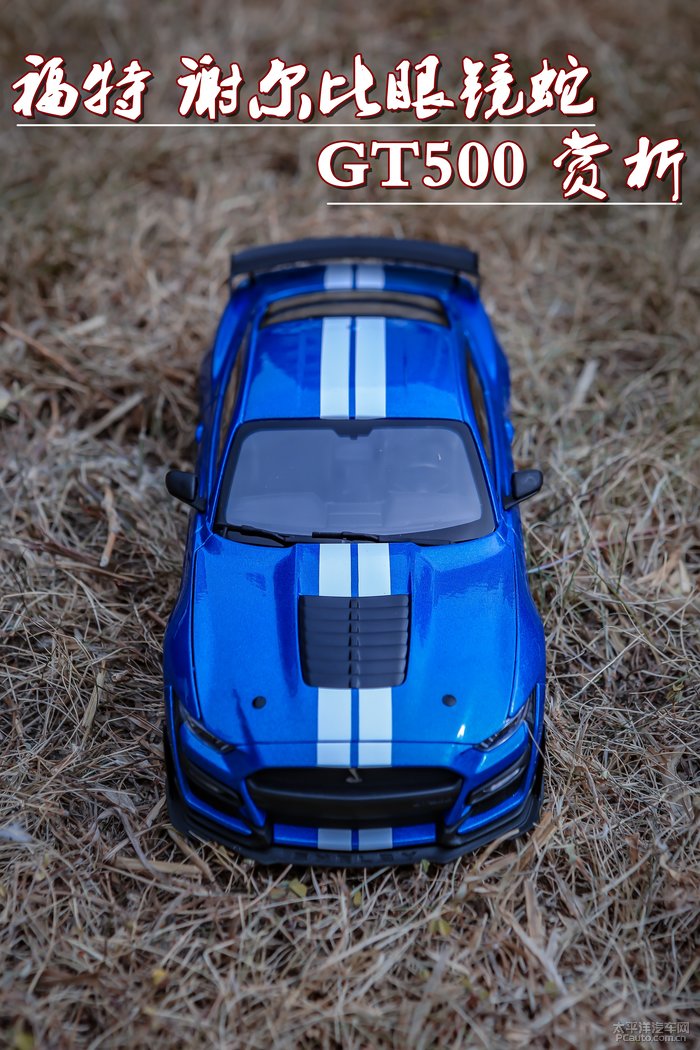 福特谢尔比眼镜蛇gt500赏析