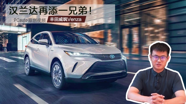 轻聊全新威飒Venza