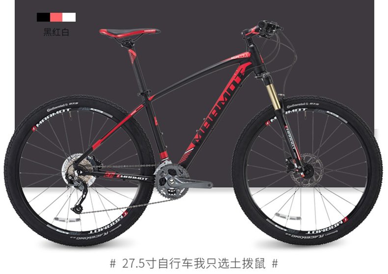 纳米体育中国什么牌子的自行车最好FRW辐轮王MARMOT土拨鼠等全球十大自行车品牌排行榜价格？(图2)