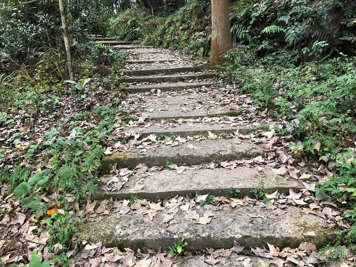槲叶落山路
