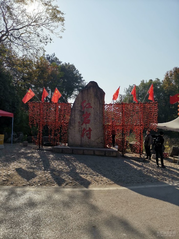 深秋万亩柿子林广西红岩村自驾游记