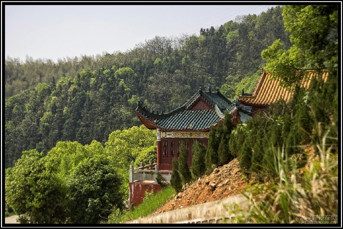 春暖随游上林寺