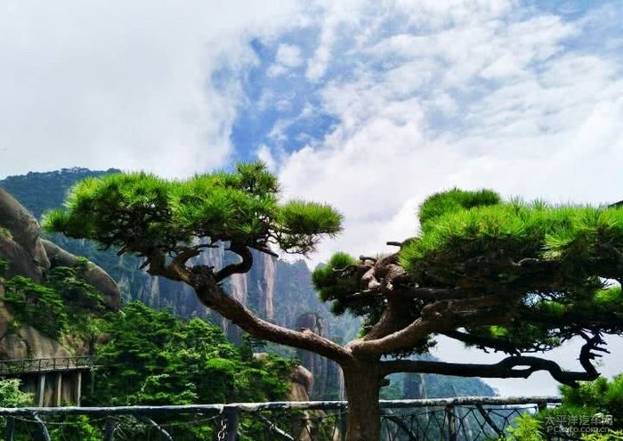 不识庐山真面目只缘身在此山中爬山使人心情愉快一