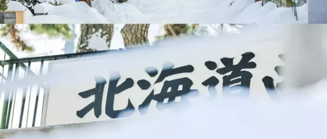丰田FJ酷路泽——探寻北海道冬日的尽头