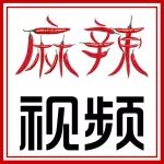 长安汽车董事长张宝林首秀，八年后停售传统燃油车投千亿搞新能源 | 麻辣视频