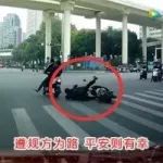 幽靈車手 | 東風(fēng)吹 戰(zhàn)鼓擂 如今馬路誰怕誰 烏龜怕鐵錘