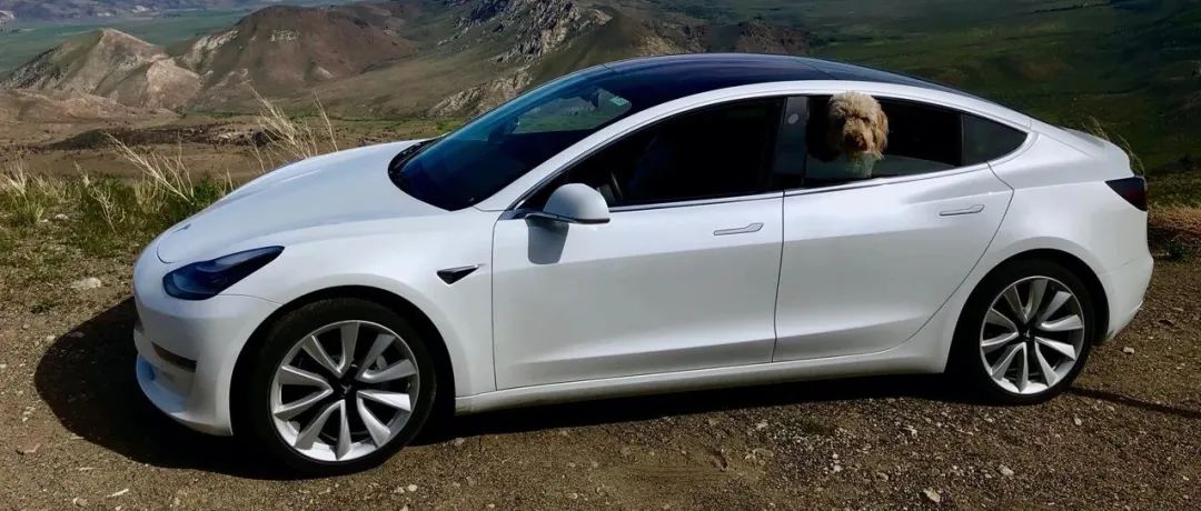 国产特斯拉Model 3，什么时候入手最合适？