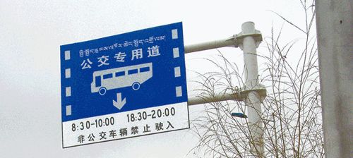 私家車走錯這條路罰300元！老司機半年被罰15次