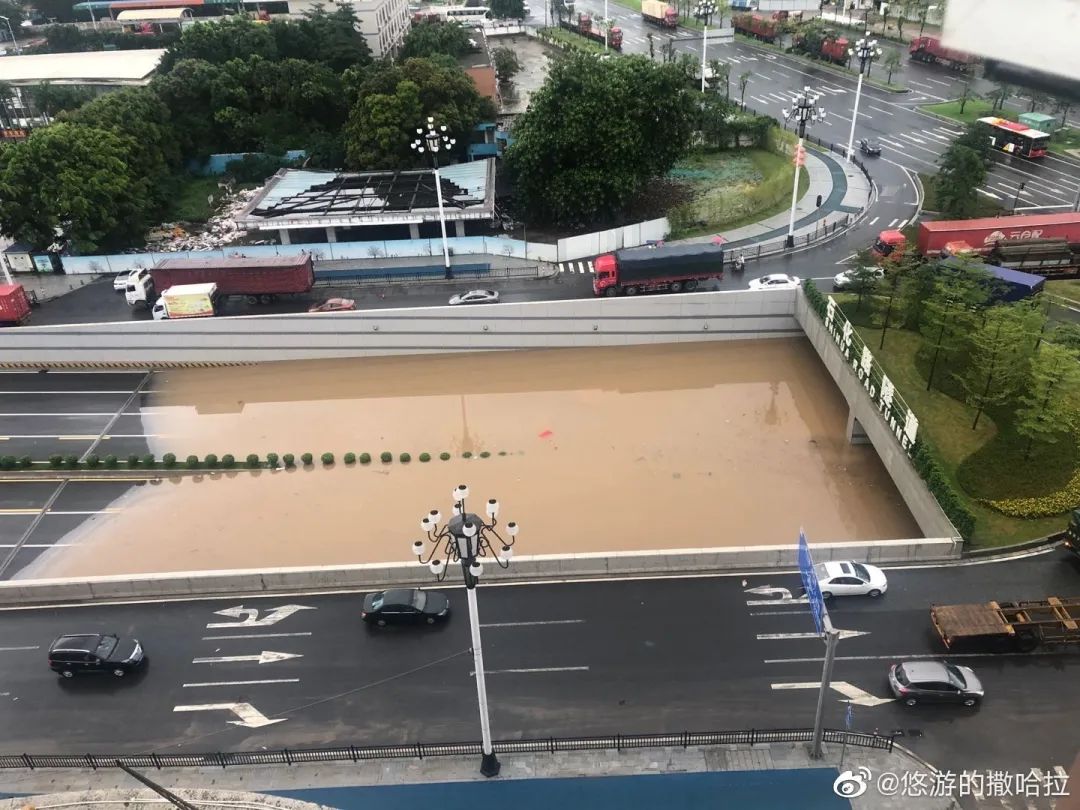 暴雨過后，水泡車都去了哪里？