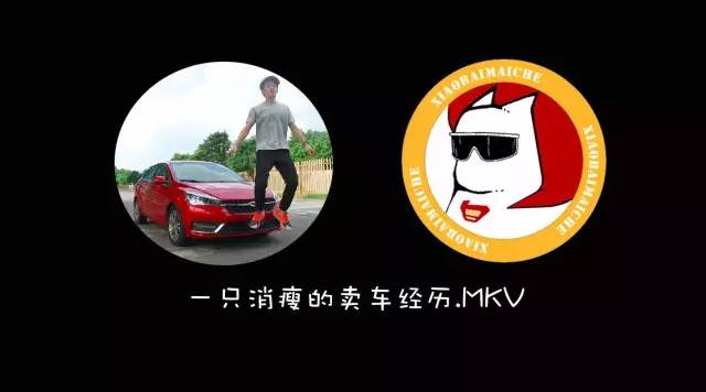 一只消瘦的卖车经历.MKV