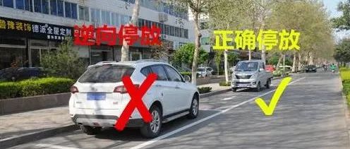 明明停在車位卻仍被貼了罰單！交警這樣解釋