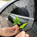 雨天開車出行最怕后視鏡掛水，防水防霧神奇“膜”術(shù)貼（對裝）