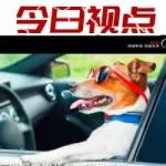 車(chē)企的“愚”樂(lè)精神！你曾被愚到過(guò)嗎？