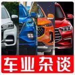 選國產SUV？這幾款車同樣優秀，不到10萬買七座 | 車業雜談