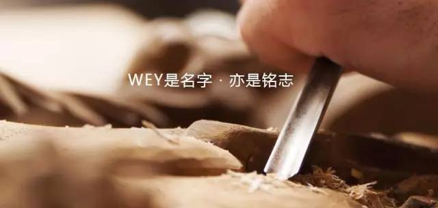 用姓氏命名品牌，WEY为什么要遵从这样的时尚？