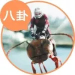 現(xiàn)代汽車包場(chǎng)《蟻人2》，可惜車還是賣不動(dòng)...