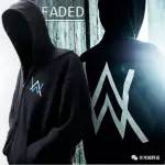 Hymn For The Weekend [Remix]┃ 這很Alan Walker