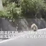 命大！臺灣地震，山路上小車鬼使神差躲過落石