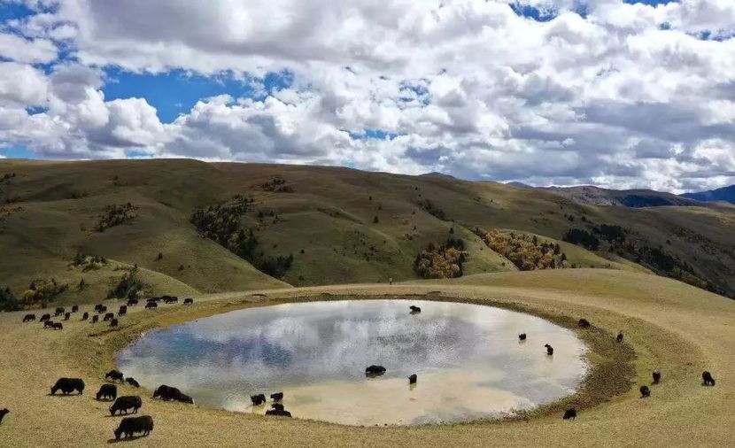 川西地区最后一片净土—格聂_太平洋号