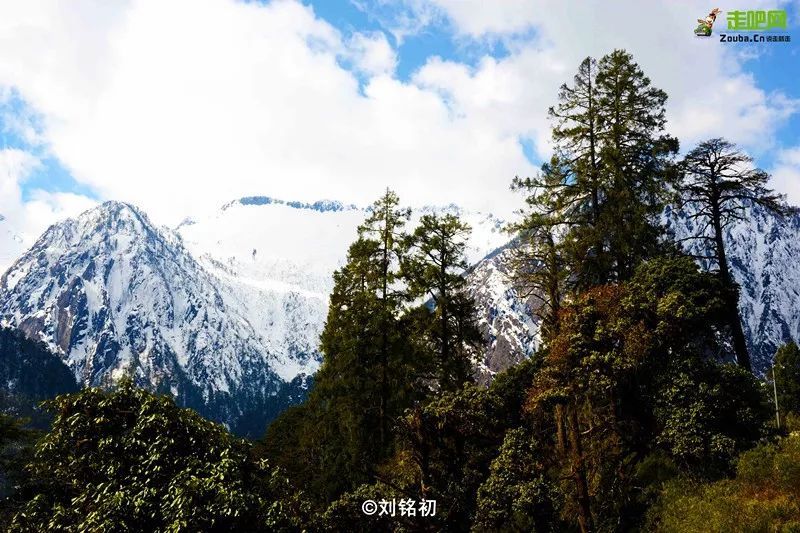 孔雀山:贡山与德钦县的界山