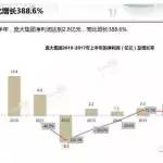 圖解龐大集團2017年上半年財報