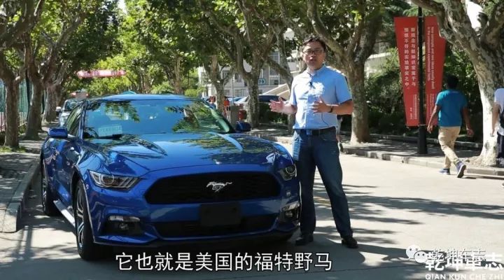 年輕的親，愛上一匹mustang，得給它多大一片草原？