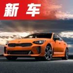 3.3T V6发动机，这台超拉风的运动轿车媲美超跑，限量800台