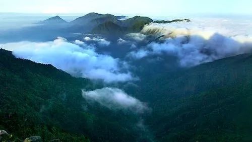 虎躍中國 | 云海深處，探境明月山