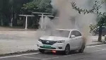 為什么新能源車(chē)最近“這么火”